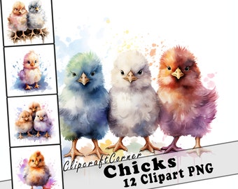 12 Chicks Clipart PNG Bundle | Watercolor Chicken Clipart PNG | Farm Animal Clipart PNG Artwork | 4005