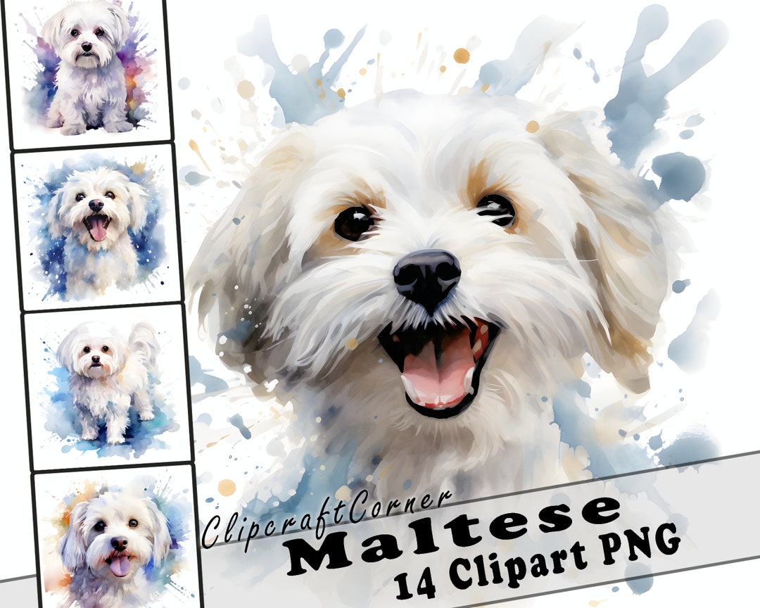 14 Maltese Clipart PNG Bundle | Watercolor Dog Clipart PNG | 11 - Etsy