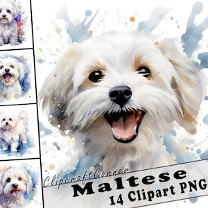 14 Maltese Clipart PNG Bundle | Watercolor Dog Clipart PNG | 11
