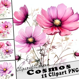 May include: A set of 12 digital clipart images featuring pink cosmos flowers with watercolour-style details. The flowers are arranged in various bouquets and individual blooms, perfect for crafting and design projects.