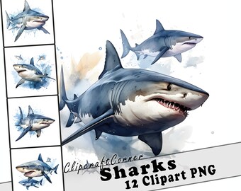 12 Shark Clipart PNG Bundle | Watercolor Sea Animals Clipart PNG | Ocean Clipart PNG Artwork | 6002