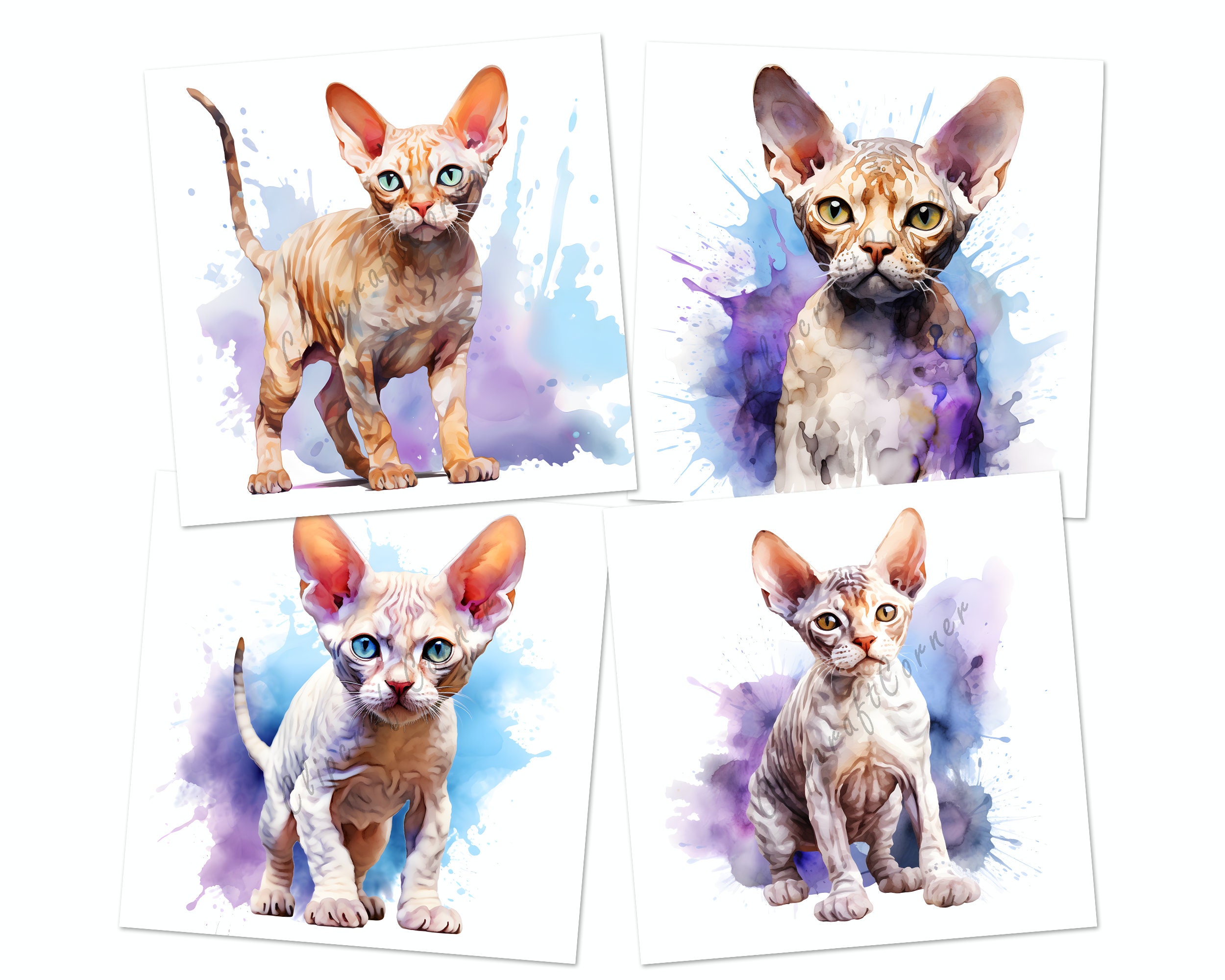 12 Devon Rex Cat Clipart PNG Bundle | Cute Watercolor Cat Clipart PNG ...
