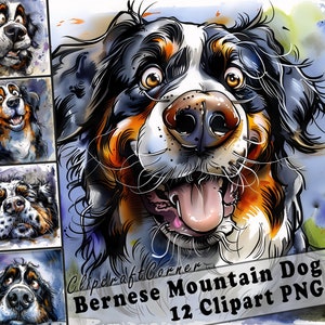 12 Berner Sennenhund Clipart PNG Lustiges Hundepaket | Aquarell Hundekarikatur Clipart PNG | Tier-Clipart-Kunstwerk | 138