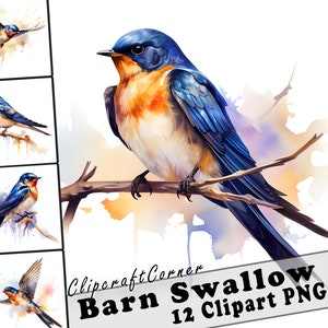 12 cliparts d'hirondelle rustique | Oeuvre d'art Clipart PNG d'oiseau aquarelle | 1030