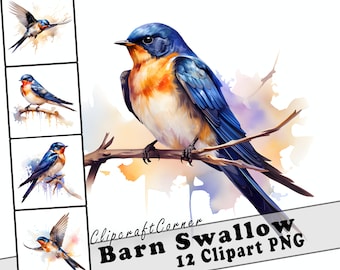 12 Barn Swallow Clipart PNG art Bundle | Watercolor Bird Clipart PNG artwork | 1030