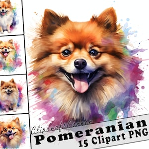 15 Pomeranian Clipart PNG Bundle | Watercolor Dog Clipart PNG | 34