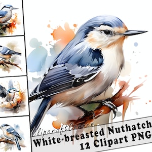 May include: A watercolour painting of a white-breasted nuthatch bird perched on a branch. The bird is blue and brown with a white breast. The background is a watercolour wash of blue and orange.