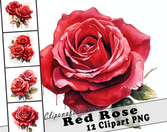 12 Red Rose Clipart PNG art Bundle | Watercolor Flower Clipart PNG artwork | 2508