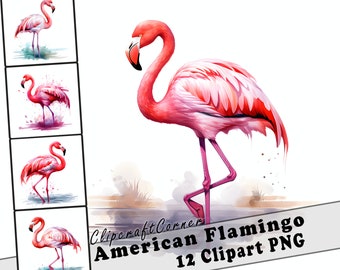 12 American Flamingo Clipart PNG art Bundle | Watercolor Bird Clipart PNG artwork | 1049