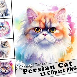 12 Persian Cat Clipart PNG Bundle | Cute Watercolor Cat Clipart PNG | 504