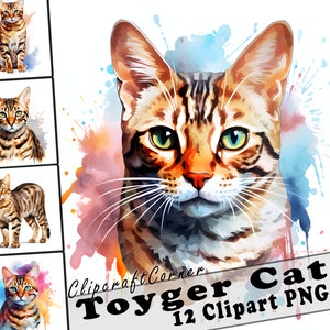 12 Toyger Cat Clipart PNG Bundle | Cute Watercolor Cat Clipart PNG | 543