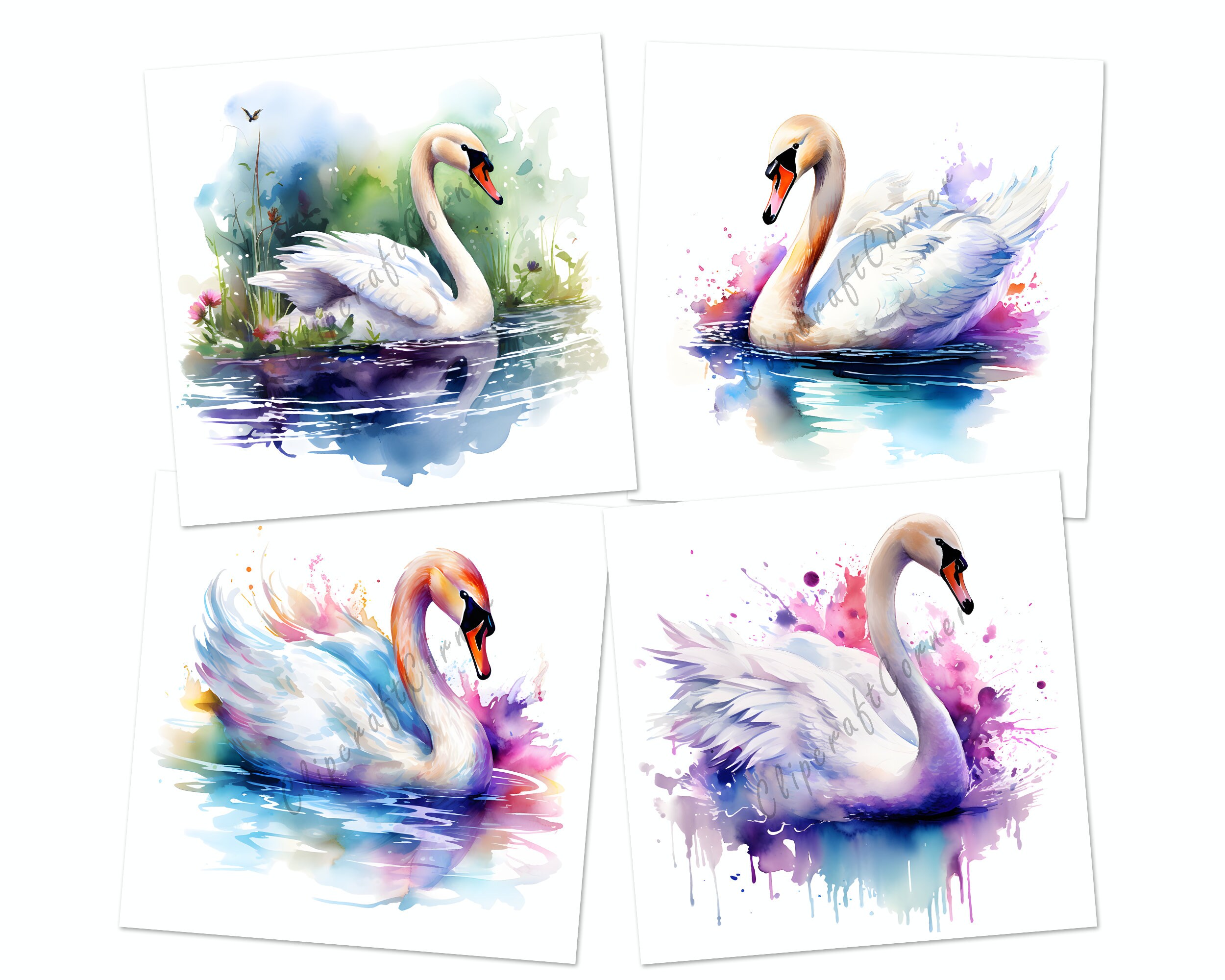 12 Swan Clipart PNG Art Bundle | Watercolor Bird Clipart PNG Artwork ...