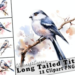Lot de 12 cliparts PNG de mésange à longue queue | Oeuvre d'art PNG aquarelle oiseau | 1006