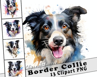 May include: A watercolor painting of a Border Collie dog with a white and black coat. The dog is looking directly at the viewer with its tongue sticking out. The background is a watercolor wash of blue, pink, and yellow.