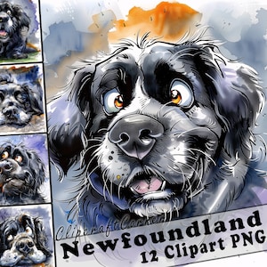 12 Neufundländer Clipart PNG Bundle | Aquarell Hund Karikatur Clipart PNG | Tier Clipart Bild | 141