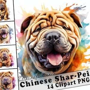14 Chinesisches Shar Pei Clipart PNG Bündel | Aquarell Hund Clipart PNG | 56