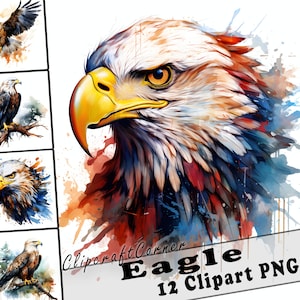 12 Eagle Clipart PNG art Bundle | Watercolor Bird Clipart PNG artwork |1009
