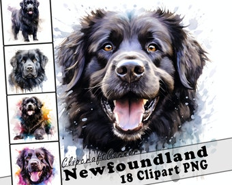 18 Newfoundland Dog Clipart PNG Bundle | Watercolor Dog Clipart PNG | 41