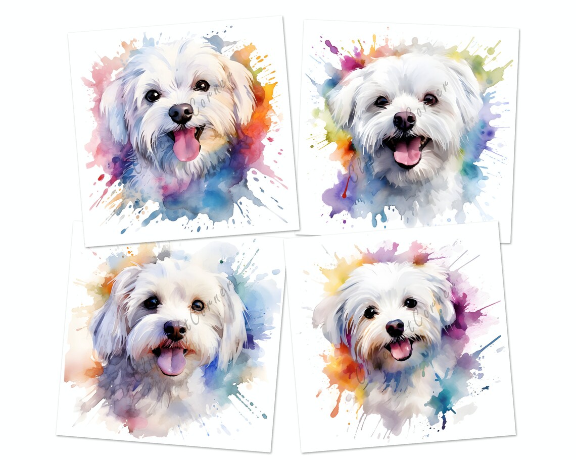 14 Maltese Clipart PNG Bundle | Watercolor Dog Clipart PNG | 11 - Etsy