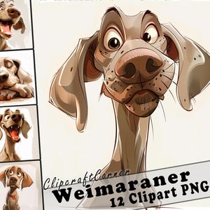 12 Weimaraner Clipart PNG Bundle | Aquarell Hund Cartoon Clipart PNG | Tier Clipart Bild | 244