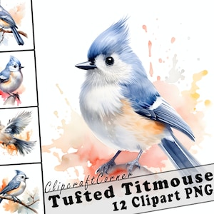 Lot de 12 cliparts PNG de mésange en touffes | Oeuvre d'art Clipart PNG d'oiseau aquarelle | 1028