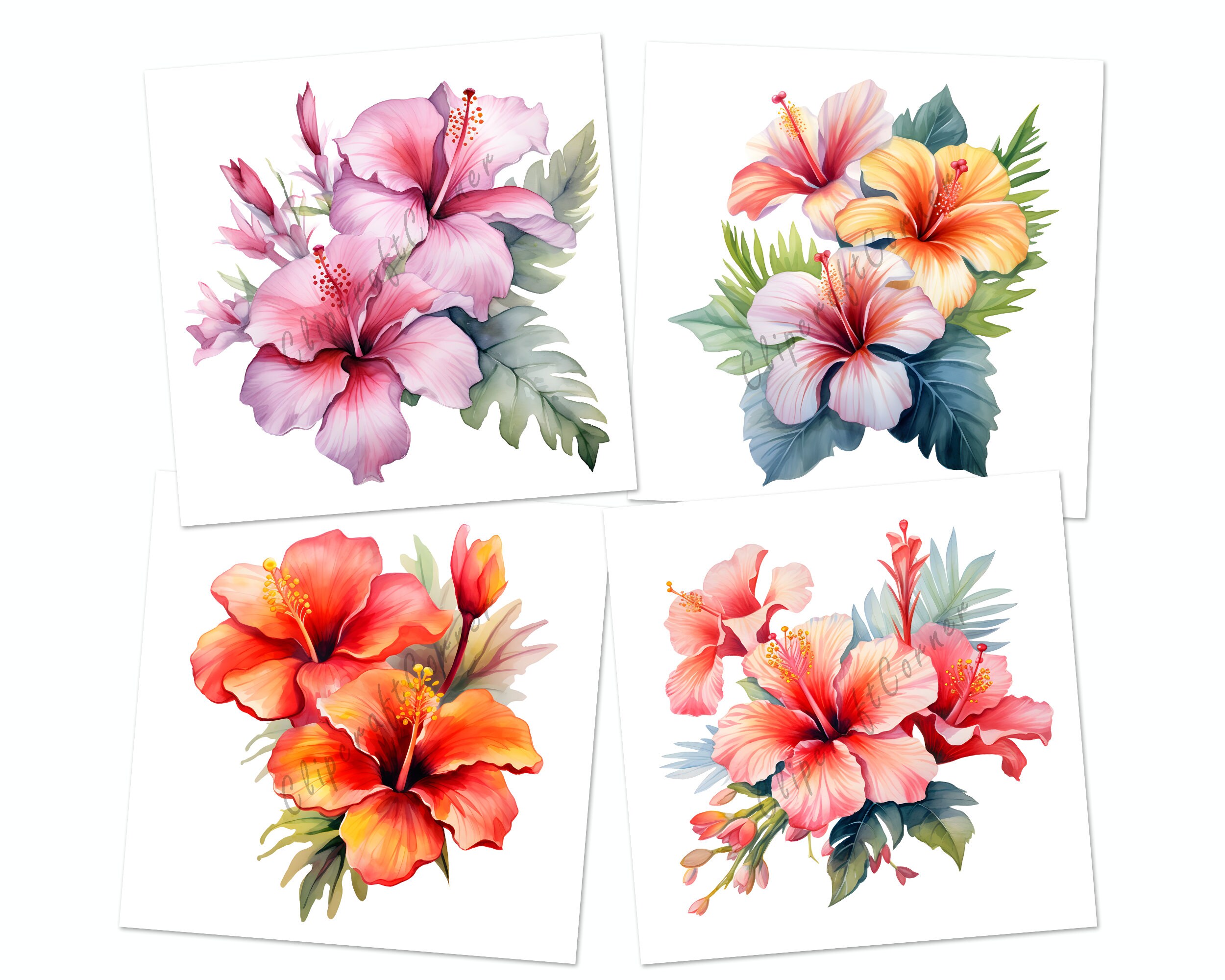 12 Tropical Flower Clipart PNG Bundle | Tropical Watercolor Clipart PNG ...