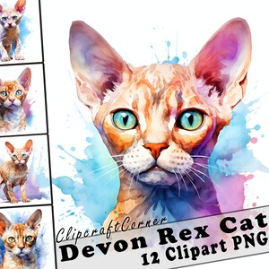 May include: A watercolor painting of a Devon Rex cat with green eyes. The cat is surrounded by blue and pink watercolor splatters. The image is part of a set of 12 clipart images.