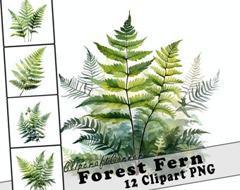 12 skogsormbunkar Clipart PNG konstpaket | Akvarellblomma Clipart PNG konstverk | 2509