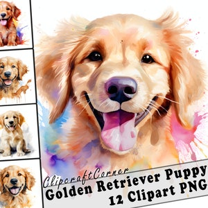 12 Puppy Golden Retriever Clipart PNG Bundle | Watercolor Puppy Dog Clipart PNG | 62