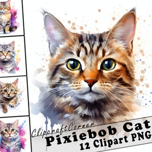 Puede incluir: Una ilustración digital de un gato atigrado marrón con ojos verdes. El gato está rodeado de salpicaduras de color de estilo acuarela. La imagen está etiquetada como "Pixiebob Cat 12 Clipart PNG" y "Clipcraft Corner".