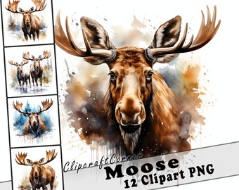 12 Moose Clipart PNG Forest Animal Bundle | Watercolor Moose Illustration Clipart PNG | Woodland Animal Artwork | 7013