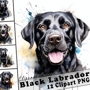 12 Black Labrador Clipart PNG Bundle | Watercolor Dog PNG Clipart | 4