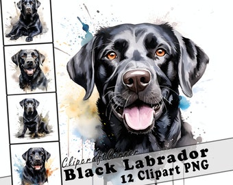 12 Schwarzer Labrador Clipart PNG Bündel | Aquarell Hund PNG Clipart | 4
