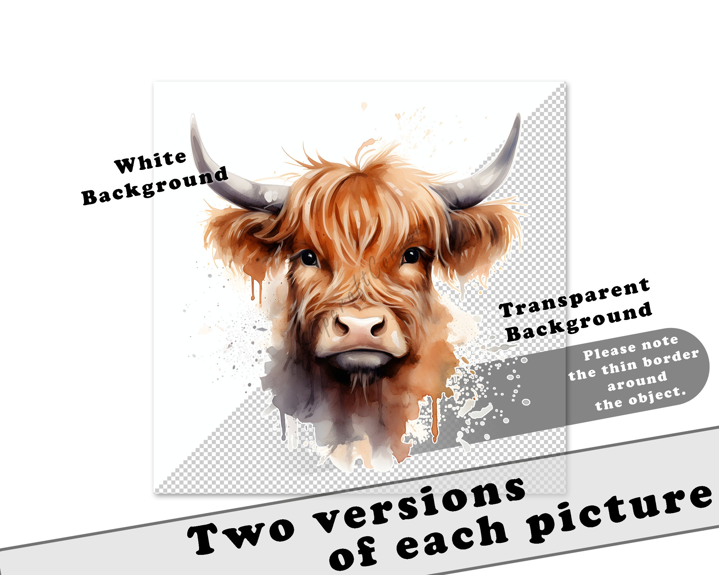 12 Highland Calf Clipart PNG Bundle | Watercolor Highland Cow Clipart ...
