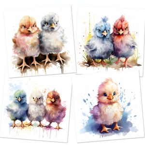 12 Chicks Clipart PNG Bundle | Watercolor Chicken Clipart PNG | Farm ...