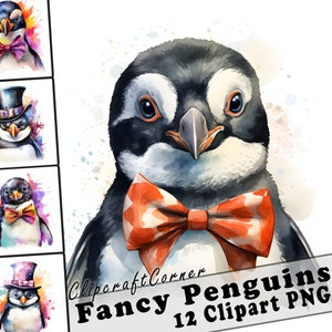 12 pinguins com cartolas e gravatas-borboleta Clipart PNG art Bundle | Aquarela Pássaro Clipart PNG arte | 1055
