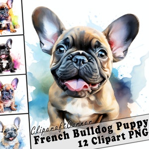 12 Puppy French Bulldog Clipart PNG Bundle | Watercolor Puppy Dog Clipart PNG | 60