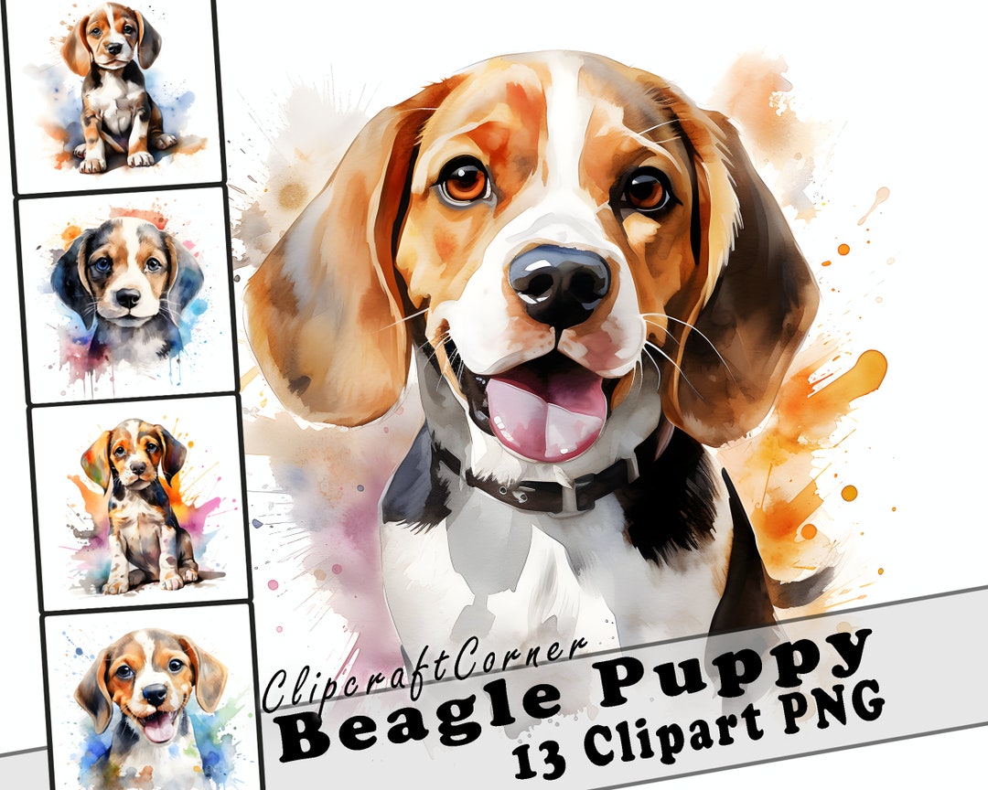 13 Puppy Beagle Clipart PNG Bundle | Watercolor Puppy Dog Clipart PNG ...