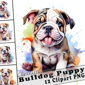 12 Puppy Bulldog Clipart PNG Bundle | Watercolor Puppy Dog Clipart PNG | 63