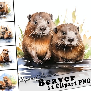 12 Beaver Clipart PNG Forest Animal Bundle | Watercolor Beaver Clipart PNG | Woodland Animal Artwork | 7014