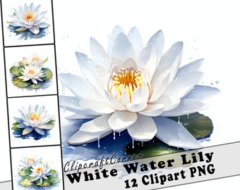12 Pacchetto di arte PNG Clipart di Ninfea bianca / Grafica PNG di fiori ad acquerello Clipart / 2514