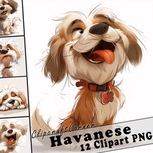12 Havanese Clipart PNG Funny Dog Bundle | Watercolor Dog Cartoon Clipart PNG | Animal Clipart Artwork | 246