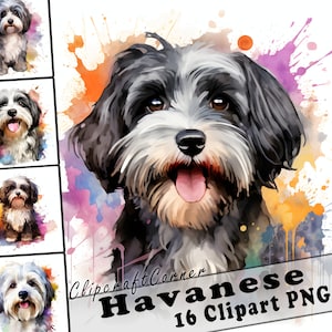 16 Havanese Clipart PNG Bundle | Watercolor Dog Clipart PNG | 46