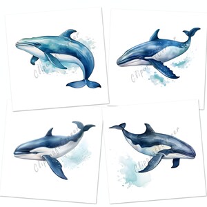 12 Whale Clipart PNG Bundle | Watercolor Sea Animals Clipart PNG ...
