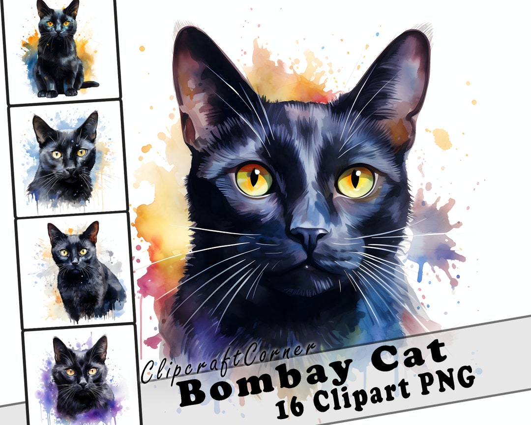 16 Bombay Cat Clipart PNG Bundle | Cute Watercolor Black Cat Clipart ...