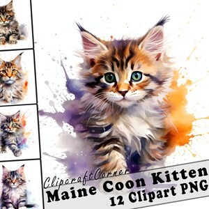 Lot de 12 chatons MaineCoon clipart PNG | Aquarelle mignon chat MaineCoon Clipart PNG | 545