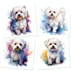 14 Maltese Clipart PNG Bundle | Watercolor Dog Clipart PNG | 11 - Etsy
