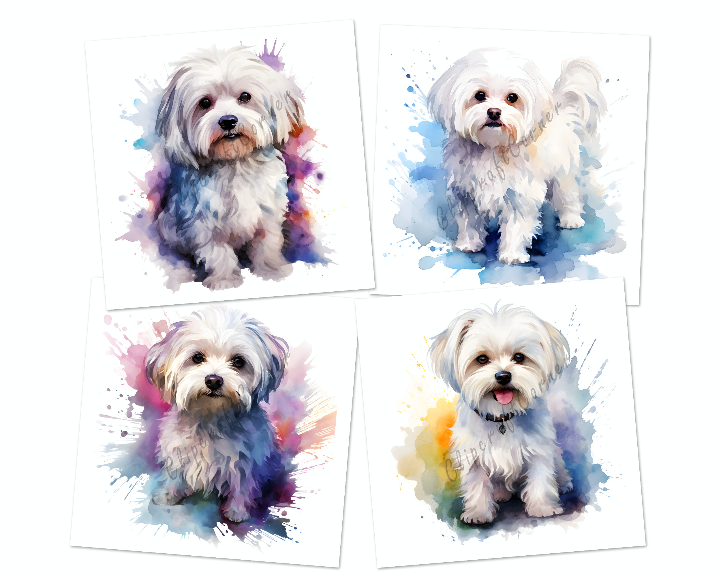 14 Maltese Clipart PNG Bundle | Watercolor Dog Clipart PNG | 11 - Etsy