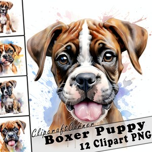 12 Puppy Boxer Clipart PNG Bundle | Watercolor Puppy Dog Clipart PNG | 68