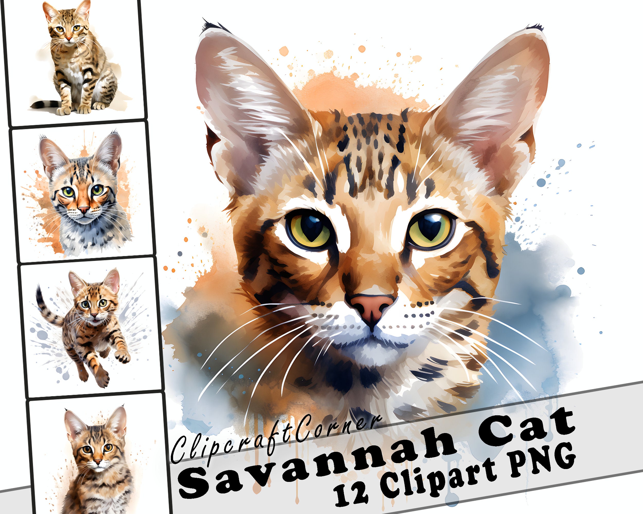 12 Savannah Cat Clipart PNG Bundle | Cute Watercolor Cat Clipart PNG | 516, image size:2500x2000